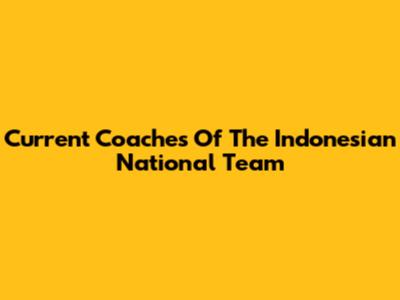 Current Coaches Of The Indonesian National Team