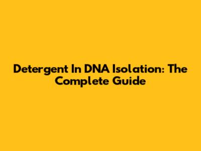 Detergent In DNA Isolation: The Complete Guide