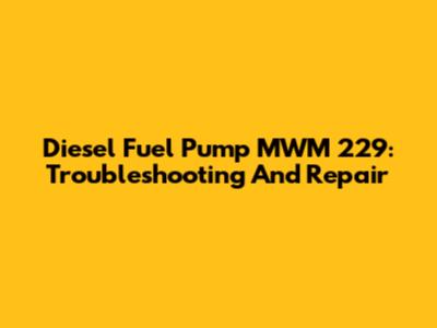 Diesel Fuel Pump MWM 229: Troubleshooting And Repair