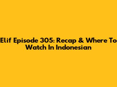 Elif Episode 305: Recap & Where To Watch In Indonesian