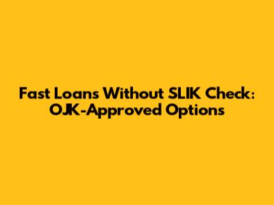 Fast Loans Without SLIK Check: OJK-Approved Options