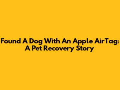 Found A Dog With An Apple AirTag: A Pet Recovery Story