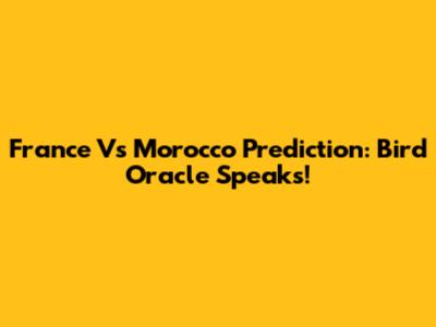France Vs Morocco Prediction: Bird Oracle Speaks!
