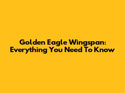 Golden Eagle Wingspan: Everything You Need To Know