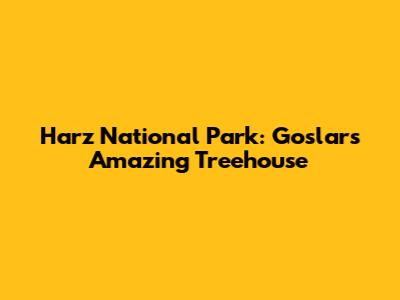 Harz National Park: Goslar's Amazing Treehouse
