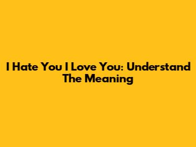 I Hate You I Love You: Understand The Meaning