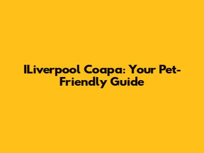ILiverpool Coapa: Your Pet-Friendly Guide