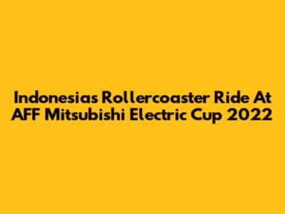 Indonesia's Rollercoaster Ride At AFF Mitsubishi Electric Cup 2022
