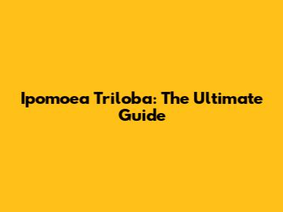 Ipomoea Triloba: The Ultimate Guide