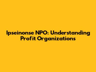 Ipseinonse NPO: Understanding Profit Organizations