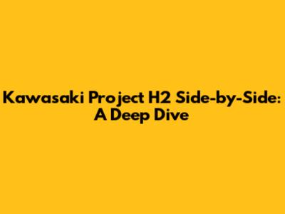 Kawasaki Project H2 Side-by-Side: A Deep Dive