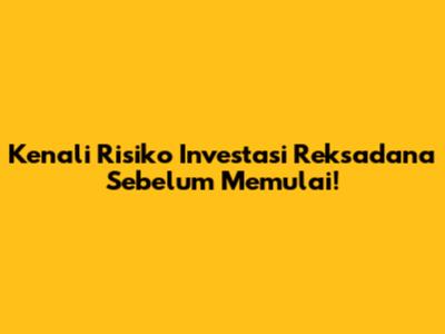 Kenali Risiko Investasi Reksadana Sebelum Memulai!