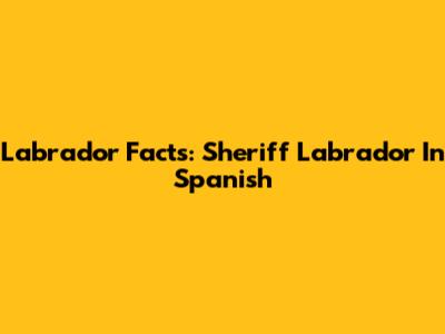 Labrador Facts: Sheriff Labrador In Spanish