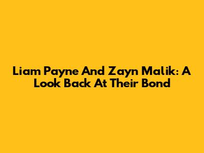 Liam Payne And Zayn Malik: A Look Back At Their Bond