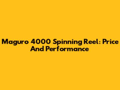 Maguro 4000 Spinning Reel: Price And Performance