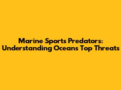 Marine Sports Predators: Understanding Ocean's Top Threats