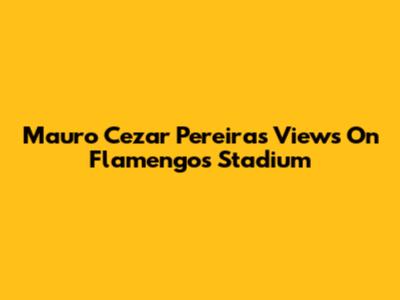 Mauro Cezar Pereira's Views On Flamengo's Stadium