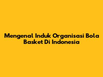 Mengenal Induk Organisasi Bola Basket Di Indonesia