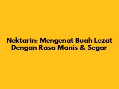 Nektarin: Mengenal Buah Lezat Dengan Rasa Manis & Segar