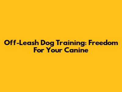 Off-Leash Dog Training: Freedom For Your Canine