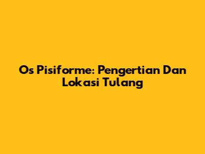 Os Pisiforme: Pengertian Dan Lokasi Tulang