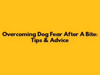 Overcoming Dog Fear After A Bite: Tips & Advice