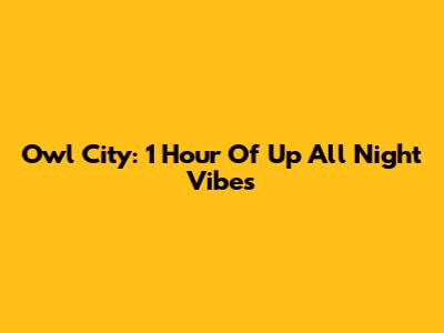Owl City: 1 Hour Of "Up All Night" Vibes