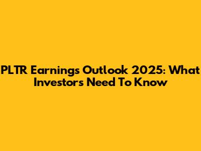 PLTR Earnings Outlook 2025: What Investors Need To Know