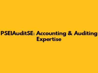 PSEIAuditSE: Accounting & Auditing Expertise