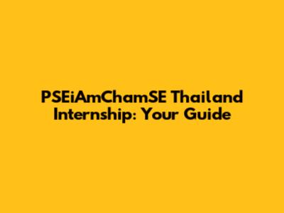 PSEiAmChamSE Thailand Internship: Your Guide