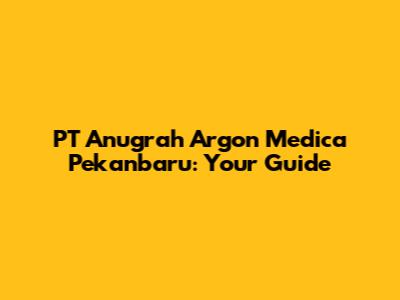 PT Anugrah Argon Medica Pekanbaru: Your Guide