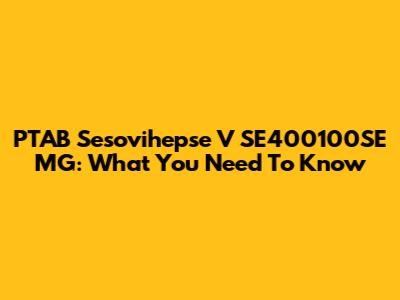 PTAB Sesovihepse V SE400100SE MG: What You Need To Know