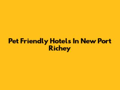 Pet Friendly Hotels In New Port Richey