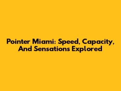 Pointer Miami: Speed, Capacity, And Sensations Explored