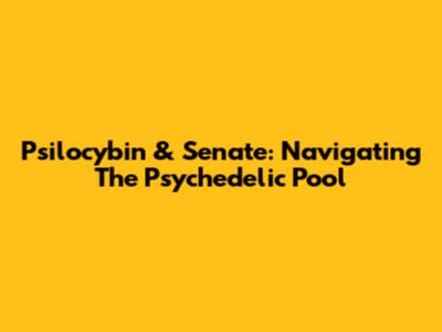 Psilocybin & Senate: Navigating The Psychedelic Pool