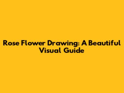 Rose Flower Drawing: A Beautiful Visual Guide