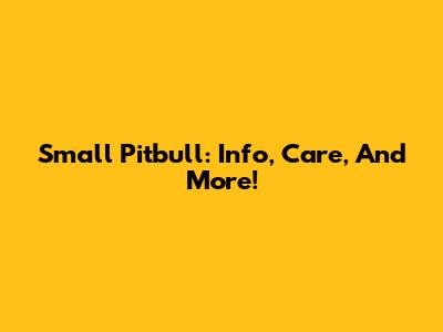 Small Pitbull: Info, Care, And More!