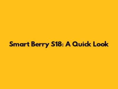 Smart Berry S18: A Quick Look