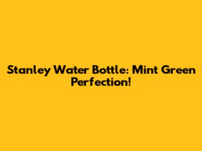 Stanley Water Bottle: Mint Green Perfection!