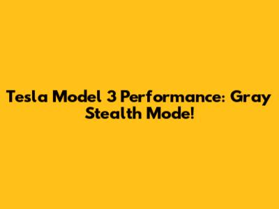 Tesla Model 3 Performance: Gray Stealth Mode!
