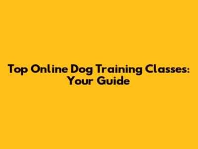 Top Online Dog Training Classes: Your Guide