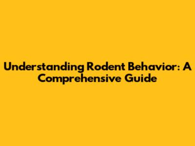Understanding Rodent Behavior: A Comprehensive Guide