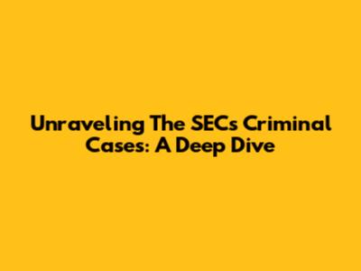 Unraveling The SEC's Criminal Cases: A Deep Dive