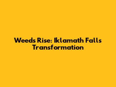 Weed's Rise: Iklamath Falls' Transformation