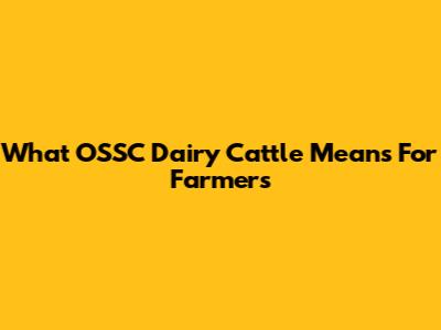 What OSSC Dairy Cattle Means For Farmers